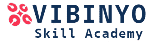 Vibinyo Skill Academy Logo